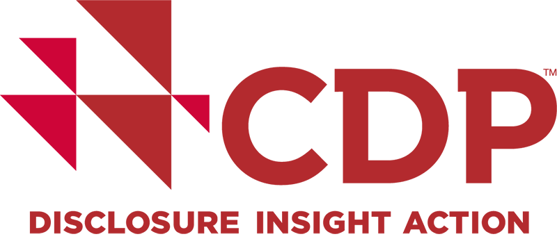 Logo: CDP