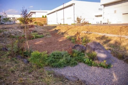 Photo: The Rain Garden (Fujinomiya Works)